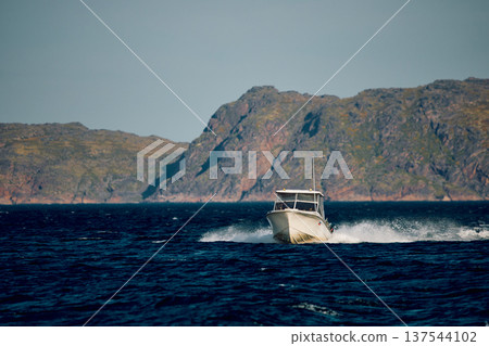 the coast of the Barents Sea, pleasure boats in the sea, the rocky shore with colourful arctic carpet of moss, yagel, Tundra at autumn the coast of the Barents Sea, pleasure boats in the sea, the rocky shore with colourful arctic carpet of moss, yagel, Tundra at autumn 137544102