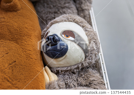 Close-up of a cute fluffy sloth plush toy on a store shelf. Close-up of a cute fluffy sloth plush toy on a store shelf. 137544435