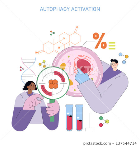 Vector illustration of scientists examining autophagy activation using a magnifying glass and molecular structures. The image features DNA, cellular analysis, and laboratory elements. Vector illustration of scientists examining autophagy activation using a magnifying glass and molecular structures. The image features DNA, cellular analysis, and laboratory elements. 137544714
