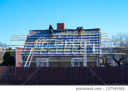 Roofers Installing Wooden Battens on House Roof During Renovation Under Clear Blue Sky Roofers Installing Wooden Battens on House Roof During Renovation Under Clear Blue Sky 137545002