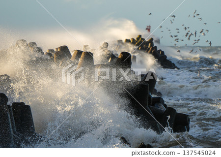 Stormy Baltic Sea waves crashing against concrete breakwater with flying seagulls near Liepaja harbor Stormy Baltic Sea waves crashing against concrete breakwater with flying seagulls near Liepaja harbor 137545024