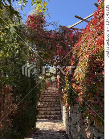 Pathway with stone steps framed by vibrant autumn foliage and clear blue sky background Pathway with stone steps framed by vibrant autumn foliage and clear blue sky background 137545839