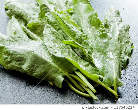 Seasonal diet and healthy nutrition. Pile of fresh green spinach sorrel leaves on wooden background. Seasonal diet and healthy nutrition. Pile of fresh green spinach sorrel leaves on wooden background. 137546224