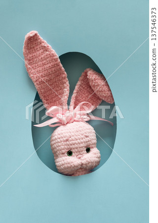 Pink Easter plush bunny toy peeking through oval egg shaped cutout in pastel blue background Pink Easter plush bunny toy peeking through oval egg shaped cutout in pastel blue background 137546373