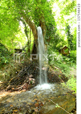Waterfall green forest river stream landscape. Beautiful green nature concept, artistic bright green trees Waterfall green forest river stream landscape. Beautiful green nature concept, artistic bright green trees 137546419