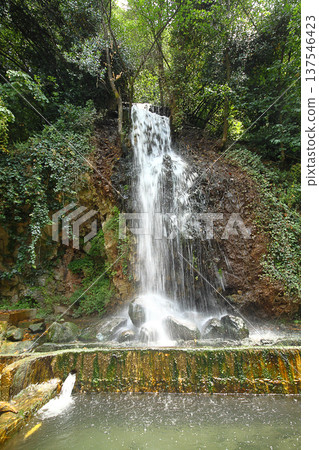 Waterfall green forest river stream landscape. Beautiful green nature concept, artistic bright green trees Waterfall green forest river stream landscape. Beautiful green nature concept, artistic bright green trees 137546423