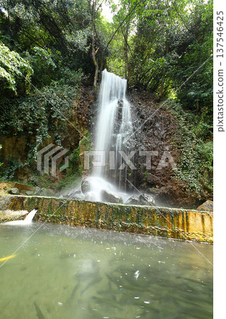 Waterfall green forest river stream landscape. Beautiful green nature concept, artistic bright green trees Waterfall green forest river stream landscape. Beautiful green nature concept, artistic bright green trees 137546425