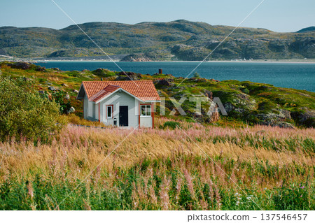A small house stands on the coast of the Barents Sea at sunny weather, Teriberka, Russia, the rocky shore with colourful arctic carpet of moss, yagel, Tundra at autumn, Murmansk region A small house stands on the coast of the Barents Sea at sunny weather, Teriberka, Russia, the rocky shore with colourful arctic carpet of moss, yagel, Tundra at autumn, Murmansk region 137546457
