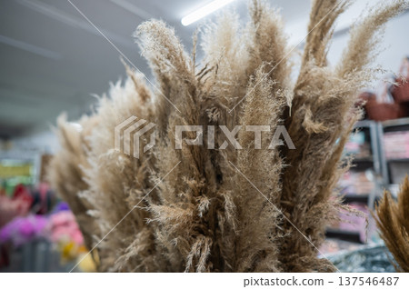 Multicolored dried flowers in the store.  137546487