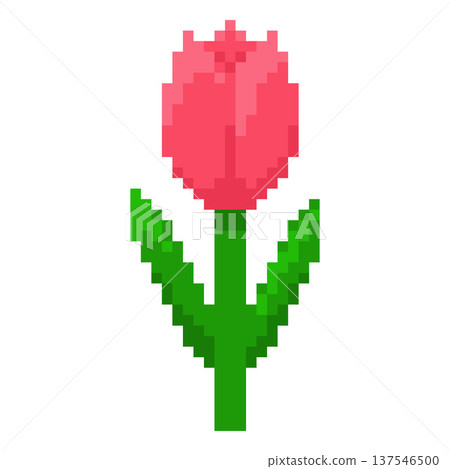 Pink tulip with leaves pixel art, vector beautiful flower, retro 8 bit blooming gift, blossom plant with squared contour Pink tulip with leaves pixel art, vector beautiful flower, retro 8 bit blooming gift, blossom plant with squared contour 137546500