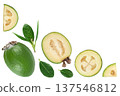 Feijoa fruit isolated on white background. Top view with copy space for your text. Flat lay 137546812