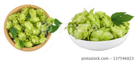 Hop cones in wooden bowl isolated on white background. Beer brewing ingredients. Top view. Flat lay Hop cones in wooden bowl isolated on white background. Beer brewing ingredients. Top view. Flat lay 137546823