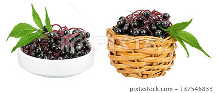 Ripe black elderberry or elder with green leaves in ceramic bowl and wicker basket isolated on a white background. Sambucus 137546833