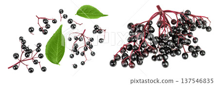 Ripe black elderberry or elder isolated on a white background. Sambucus. Top view. Flat lay Ripe black elderberry or elder isolated on a white background. Sambucus. Top view. Flat lay 137546835