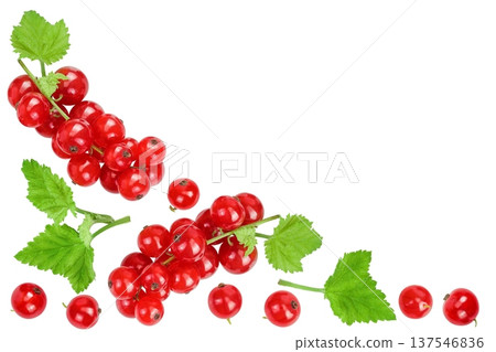 Red currant berries isolated on white background. Top view with copy space for your text. Flat lay Red currant berries isolated on white background. Top view with copy space for your text. Flat lay 137546836
