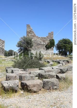 Historic site of Myndos gate the only surviving gate of the ancient wall that surrounded the city of Halikarnassos in Bodrum, Turkey. Historic site of Myndos gate the only surviving gate of the ancient wall that surrounded the city of Halikarnassos in Bodrum, Turkey. 137546874