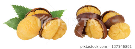 roasted peeled chestnut isolated on white background wit full depth of field. roasted peeled chestnut isolated on white background wit full depth of field. 137546891