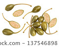 Capers isolated on white background. Pickled or canned capers. Top view. Flat lay 137546898