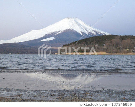 清晨:白雪皚皚的富士山和倒置的富士山(山中湖) 清晨:白雪皚皚的富士山和倒置的富士山(山中湖) 137546999