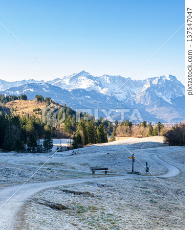 Vertical alpine winter landscape with winding hiking trail and snowy mountain ridge in Bavaria Germany 137547047