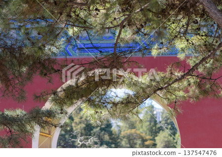 Pine branches framing traditional Chinese temple archway Pine branches framing traditional Chinese temple archway 137547476