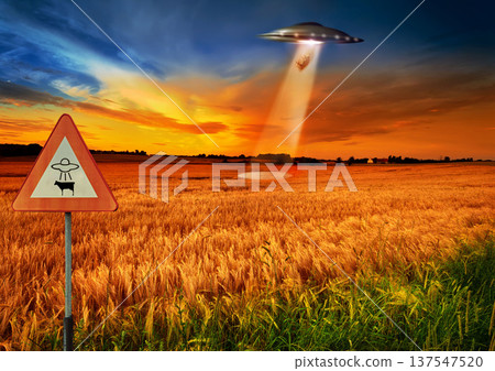Cow abduction, ufo and spaceship light in countryside for mission, science fiction and fantasy in sky. Spacecraft, field and flying saucer from outer space for invasion, futuristic and mystery Cow abduction, ufo and spaceship light in countryside for mission, science fiction and fantasy in sky. Spacecraft, field and flying saucer from outer space for invasion, futuristic and mystery 137547520
