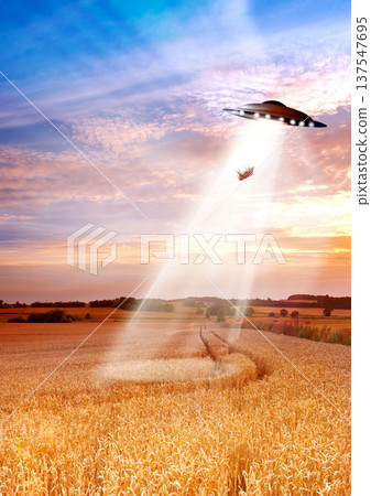 UFO, farm and field with light, alien invasion and research with cow, abduction or transport. UAP ship, flying saucer and tractor beam in nature, grass or countryside for survey, inspection or flight 137547695