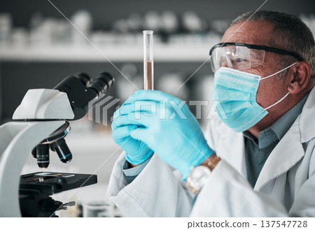 Research, senior scientist in lab with test tube and microscope for covid drug or pharmaceutical study. Science, laboratory and mature man with mask, vaccine in glass and medical analysis development Research, senior scientist in lab with test tube and microscope for covid drug or pharmaceutical study. Science, laboratory and mature man with mask, vaccine in glass and medical analysis development 137547728