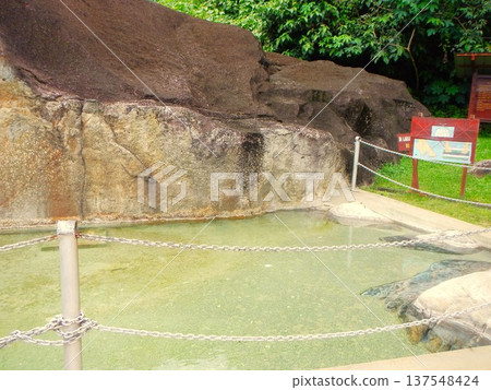 婆羅洲島（馬來西亞）波令溫泉的露天溫泉池 137548424