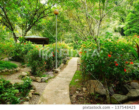 京那巴魯公園波令溫泉長廊（馬來西亞婆羅洲） 137548425