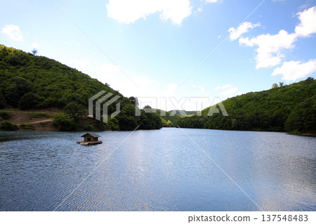 a morning by the lake 137548483
