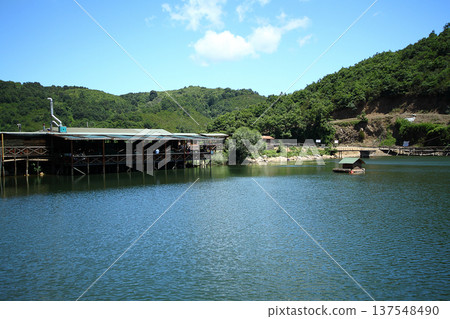 a morning by the lake 137548490