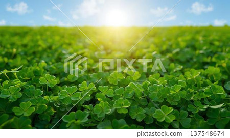 Good luck four-leaf clover 137548674