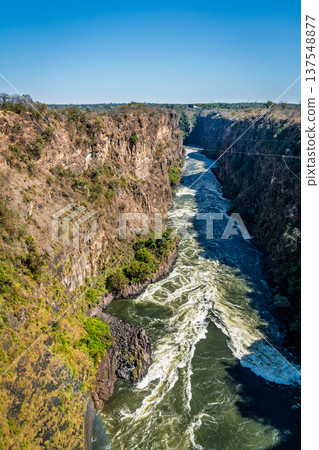Zambezi River 137548877