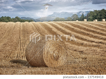 UFO, farm and field with alien spaceship invasion, hay or tractor beam light for research. UAP, flying saucer and interstellar travel in nature, grass or countryside for survey, inspection or flight 137549418