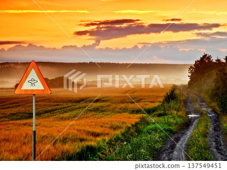 Alien, spaceship sign and road in nature for UFO warning, science fiction and space abduction. Area 51, travel and signage for extraterrestrial caution in countryside, meadow and natural landscape Alien, spaceship sign and road in nature for UFO warning, science fiction and space abduction. Area 51, travel and signage for extraterrestrial caution in countryside, meadow and natural landscape 137549451
