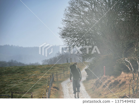 Nature, backpack and soldier walking on path, travel and journey outdoor on mockup space. Forest, bag and military man on road hiking in woods, countryside or trekking in camouflage on adventure. Nature, backpack and soldier walking on path, travel and journey outdoor on mockup space. Forest, bag and military man on road hiking in woods, countryside or trekking in camouflage on adventure. 137549492