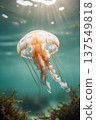 Jellyfish Swimming Underwater With Sun Rays. AI Generated 137549818
