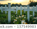 Military cemetery honors soldiers' memories with flowers and tranquility at sunset 137549983
