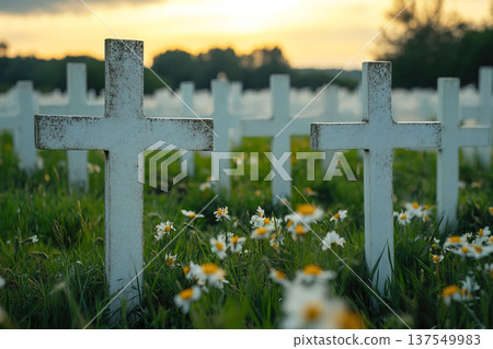 Military cemetery honors soldiers' memories with flowers and tranquility at sunset Military cemetery honors soldiers' memories with flowers and tranquility at sunset 137549983