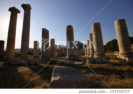 The ruins of the ancient city of Sardes, the capital of the Lydian State, are located in the town of Sart in Salihli district today. The ruins of the ancient city of Sardes, the capital of the Lydian State, are located in the town of Sart in Salihli district today. 137550757