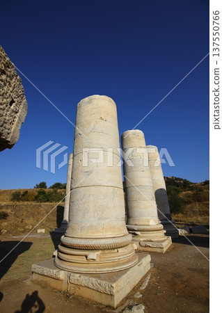 The ruins of the ancient city of Sardes, the capital of the Lydian State, are located in the town of Sart in Salihli district today. 137550766