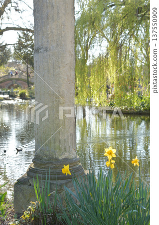 Daffodils and Roman columns blooming by the pond in Parc Monceau, a spring scene in Paris (photographed on March 3, 2026) Daffodils and Roman columns blooming by the pond in Parc Monceau, a spring scene in Paris (photographed on March 3, 2026) 137550909