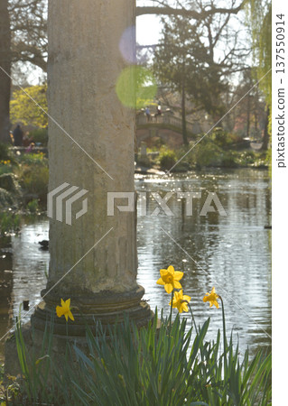巴黎蒙索公園池塘邊盛開的水仙花和羅馬柱,春日美景(攝於2026年3月3日) 巴黎蒙索公園池塘邊盛開的水仙花和羅馬柱,春日美景(攝於2026年3月3日) 137550914