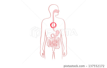 Esophagus pain diagram 137552172