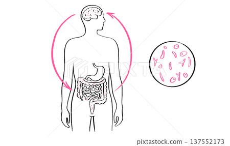 Gut Brain Connection 137552173