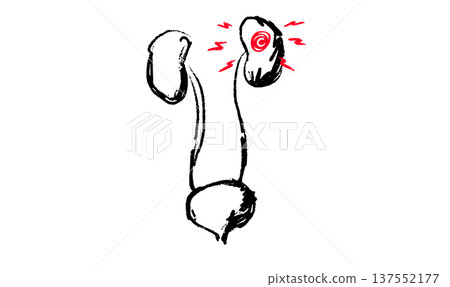 Kidney and bladder 137552177