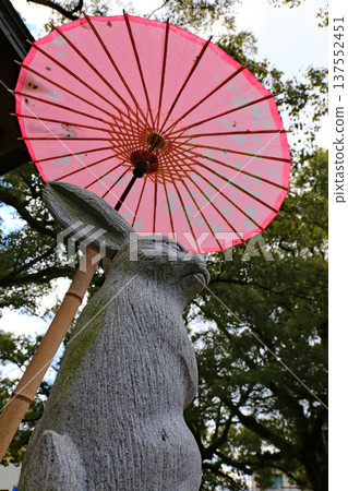 Rabbit and Japanese umbrella 137552451