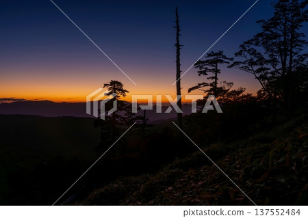 The sunset-colored mountain range and tree silhouettes seen from Mt. Odaigahara 137552484