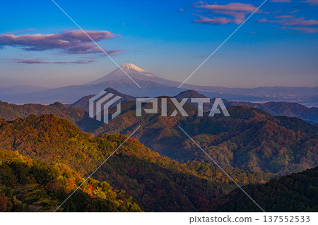 (Shizuoka Prefecture) Mount Fuji from Mount Katsuragi in late autumn 137552533